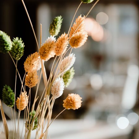 FLOWERS-LiaRemmelzwaalFotografie-PersonalBrandingFotografie